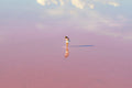 Workshop - Self-Awareness: The Foundation of Personal Growth